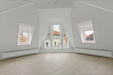 Fantastische 4-Raumwohnung mitten in Halle! 06108 Halle (Saale), Dachgeschosswohnung