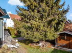 Garten - Freistehendes Einfamilienhaus in gefragter Wohnlage von Halle -Nietleben